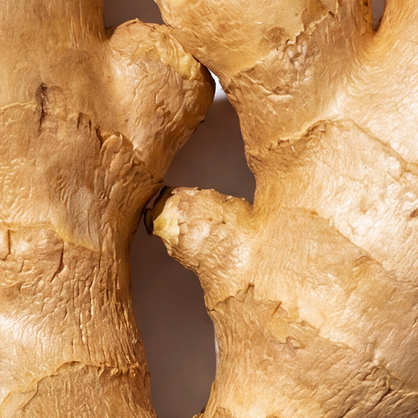 Ginger Root Extract